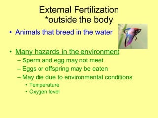 Sexual Reproduction In Animals | PPT