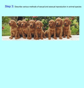 Step 3: Describe various methods of sexual and asexual reproduction in animal species
 