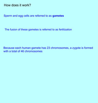 Sexual reproduction in animals teacher | PPTX