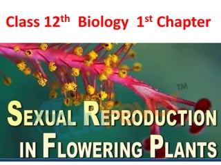 Class 12th Biology 1st Chapter
 