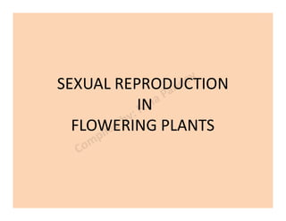 SEXUAL REPRODUCTION
ININ
FLOWERING PLANTS
 