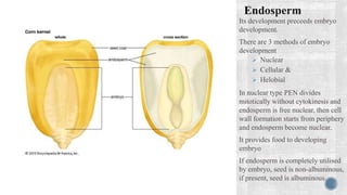 Sexual reproduction in flowering plants | PPTX