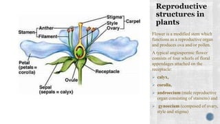 Sexual reproduction in flowering plants | PPTX