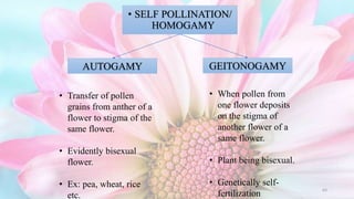 Sexual reproduction in flowering plants | PPTX