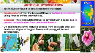 Sexual reproduction in flowering plants | PDF