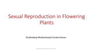 Sexual Reproduction in Flowering
Plants
Shubhadeep Bhattacharjee/ Eureka Classes
Shubhadeep Bhattacharjee/ Eureka Classes
 