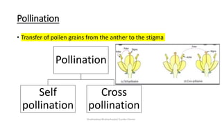 Sexual reproduction in flowering plants | PPTX