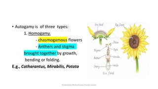 Sexual reproduction in flowering plants | PPTX