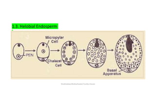 Sexual reproduction in flowering plants | PPTX