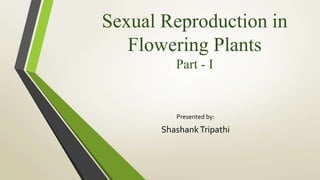 Sexual Reproduction in
Flowering Plants
Part - I
Presented by:
ShashankTripathi
 