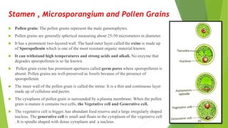  Pollen grain: The pollen grains represent the male gametophytes.
 Pollen grains are generally spherical measuring about 25-50 micrometers in diameter.
 It has a prominent two-layered wall. The hard outer layer called the exine is made up
of Sporopollenin which is one of the most resistant organic material known.
 It can withstand high temperatures and strong acids and alkali. No enzyme that
degrades sporopollenin is so far known.
 Pollen grain exine has prominent apertures called germ pores where sporopollenin is
absent. Pollen grains are well-preserved as fossils because of the presence of
sporopollenin.
 The inner wall of the pollen grain is called the intine. It is a thin and continuous layer
made up of cellulose and pectin.
 The cytoplasm of pollen grain is surrounded by a plasma membrane. When the pollen
grain is mature it contains two cells, the Vegetative cell and Generative cell.
 The vegetative cell is bigger, has abundant food reserve and a large irregularly shaped
nucleus. The generative cell is small and floats in the cytoplasm of the vegetative cell
. It is spindle shaped with dense cytoplasm and a nucleus.
Stamen , Microsporangium and Pollen Grains
 
