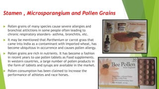  Pollen grains of many species cause severe allergies and
bronchial aitlictions in some people often leading to
chronic respiratory aisorders- asthma, bronchitis, etc.
 It may be mentioned that Parthenium or carrot grass that
came into India as a contaminant with imported wheat, has
become ubiquitous in occurrence and causes pollen allergy.
 Pollen grains are rich in nutrients. It has become a fashion
in recent years to use pollen tablets as Food supplements.
In western countries, a large number of pollen products in
the form of tablets and syrups are available in the market.
 Pollen consumption has been claimed to increase the
performance of athletes and race horses.
Stamen , Microsporangium and Pollen Grains
 