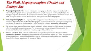  Megasporogenesis : The process of formation of megaspores from the megaspore mother cell is
called megasporogenesis. Ovules generally differentiate a single megaspore mother cell (MMC) in the
micropylar region or the nucellus . It is a large cell containing dense cytoplasm and a prominent nucleus. The
MMC undergoes meiotic division. Meiosis results in the production of four megaspores.
 Female gametophyte : In a majority of flowering plants, one of the megaspores is functional while the
other three degenerate. Only the functional megaspore develops into the female gametophyte(embryo sac).
This method of embryo sac formation from a single megaspore is termed monosporic development.
 The nucleus of the functional megaspore divides mitotically to form two nuclei which move to the opposite
poles, forming the 2-nucleate embryo sac. Two more sequential mitotic nuclear divisions result in the
formation of the 4-nucleate and later the 8-nucleate stages of the embryo sac.
 After the 8-nucleate stage, cell walls are laid down leading to the organisation of the typical female
gametophyte or embryo sac. Observe the distribution of cells inside the embryo sac. Six of the eight nuclei
are surrounded by cell walls and organised into cells; the remaining two nuclei, called polar nuclei are
situated below the egg apparatus in the large central cell.
The Pistil, Megasporangium (Ovule) and
Embryo Sac
 