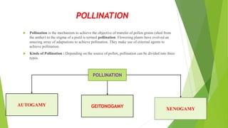 POLLINATION
 Pollination is the mechanism to achieve the objective of transfer of pollen grains (shed from
the anther) to the stigma of a pistil is termed pollination. Flowering plants have evolved an
amazing array of adaptations to achieve pollination. They make use of external agents to
achieve pollination.
 Kinds of Pollination : Depending on the source of pollen, pollination can be divided into three
types.
AUTOGAMY GEITONOGAMY
XENOGAMY
POLLINATION
 