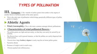 III. Xenogamy : The transfer of pollen grains from anther to the stigma of
another flower of different plant of the same species.
 This is the only type of pollination which brings genetically different types of pollen
grains to stigma.
Abiotic Agents
 Wind (Anemophily): This is the more common amongst abiotic pollinations.
 Characteristics of wind pollinated flowers :
1. The pollen grains are light and non-sticky, so that they can easily be carried by air
currents.
2. The flowers have well-exposed stamens, so that the pollens are easily dispersed into
wind currents.
3. Flowers have large feathery stigma to easily trap the air borne pollen grains.
4. Nectaries absent.
5. Presence of single ovule in each ovary.
6. Flowers packed into inflorescence.
TYPES OF POLLINATION
 