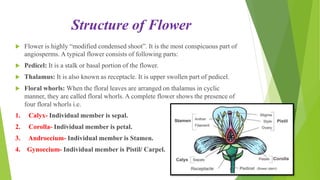 Structure of Flower
 Flower is highly “modified condensed shoot”. It is the most conspicuous part of
angiosperms. A typical flower consists of following parts:
 Pedicel: It is a stalk or basal portion of the flower.
 Thalamus: It is also known as receptacle. It is upper swollen part of pedicel.
 Floral whorls: When the floral leaves are arranged on thalamus in cyclic
manner, they are called floral whorls. A complete flower shows the presence of
four floral whorls i.e.
1. Calyx- Individual member is sepal.
2. Corolla- Individual member is petal.
3. Androecium- Individual member is Stamen.
4. Gynoecium- Individual member is Pistil/ Carpel.
 