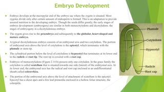 Embryo Development
 Embryo develops at the micropylar end of the embryo sac where the zygote is situated. Most
zygotes divide only after certain amount of endosperm is formed. This is an adaptation to provide
assured nutrition to the developing embryo. Though the seeds differ greatly, the early stages of
embryo development (embryogeny) are similar in both monocotyledons and dicotyledons. the
stages of embryogeny in a dicotyledonous embryo.
 The zygote gives rise to the proembryo and subsequently to the globular, heart-shaped and
mature embryo.
 A typical dicotyledonous embryo consists of an embryonal axis and two cotyledons. The portion
of embryonal axis above the level of cotyledons is the epicotyl, which terminates with the
plumule or stem tip.
 The cylindrical portion below the level of cotyledons is hypocotyl that terminates at its lower end
in the radicle or root tip. The root tip is covered with a root cap.
 Embryos of monocotyledons (Figure 2.14 b) possess only one cotyledon. In the grass family the
cotyledon is called scutellum that is situated towards one side (lateral) of the embryonal axis. At
its lower end, the embryonal axis has the radical and root cap enclosed in an undifferentiated
sheath called coleorrhiza.
 The portion of the embryonal axis above the level of attachment of scutellum is the epicotyl.
Epicotyl has a shoot apex and a few leaf primordia enclosed in a hollow foliar structure, the
coleoptile.
 