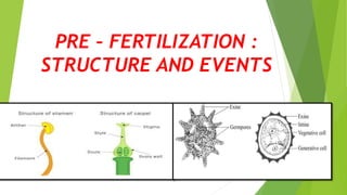 PRE – FERTILIZATION :
STRUCTURE AND EVENTS
 
