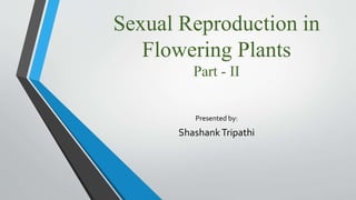 Sexual Reproduction in
Flowering Plants
Part - II
Presented by:
ShashankTripathi
 