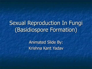 Sexual Reproduction In Fungi (Basidiospore Formation) Animated Slide By: Krishna Kant Yadav 