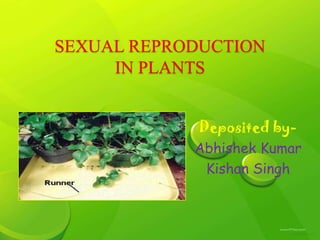 SEXUAL REPRODUCTION
IN PLANTS
Deposited byAbhishek Kumar
Kishan Singh

 