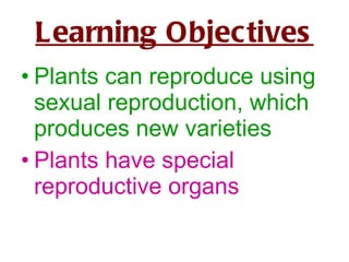 Learning Objectives ,[object Object],[object Object]