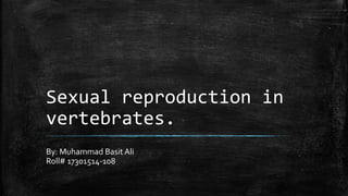 Sexual reproduction in
vertebrates.
By: Muhammad Basit Ali
Roll# 17301514-108
 