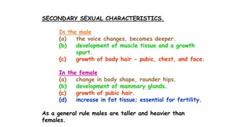Human Sexual Reproduction Males PPTX human-sexual-reproduction-males-pptx
