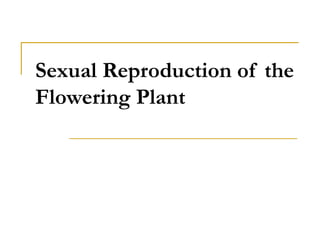 Sexual Reproduction of the
Flowering Plant
 