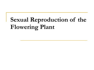 Sexual Reproduction of the Flowering Plant 