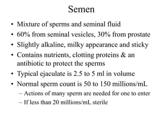 Semen
• Mixture of sperms and seminal fluid
• 60% from seminal vesicles, 30% from prostate
• Slightly alkaline, milky appearance and sticky
• Contains nutrients, clotting proteins & an
antibiotic to protect the sperms
• Typical ejaculate is 2.5 to 5 ml in volume
• Normal sperm count is 50 to 150 millions/mL
– Actions of many sperm are needed for one to enter
– If less than 20 millions/mL sterile
 