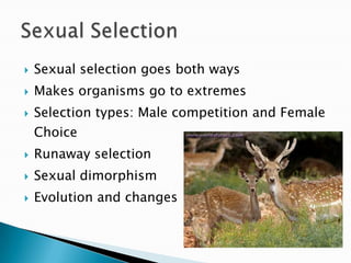 Sexual selection goes both waysMakes organisms go to extremesSelection types: Male competition and Female ChoiceRunaway selectionSexual dimorphismEvolution and changesSexual Selection