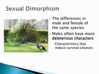 The differences in male and female of the same speciesMales often have more deleterious charactersCharacteristics that reduce survival chancesSexual Dimorphism