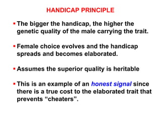 HANDICAP PRINCIPLE
 The bigger the handicap, the higher the
genetic quality of the male carrying the trait.
 Female choice evolves and the handicap
spreads and becomes elaborated.
 Assumes the superior quality is heritable
 This is an example of an honest signal since
there is a true cost to the elaborated trait that
prevents “cheaters”.
 