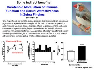 Carotenoid Modulation of Immune
Function and Sexual Attractiveness
in Zebra Finches
Blount et al.
One hypothesis for female choice predicts that availability of carotenoid
pigments is a potentially limiting factor for both ornament expression
and immune function. Males that can afford to produce more elaborate
carotenoid-dependent displays must be healthier individuals with
superior immunocompetence. Manipulation of dietary carotenoid supply
invokes parallel changes in cell-mediated immune function and sexual
attractiveness in male zebra finches (Taeniopygia guttata).
SCIENCE, April 4, 2003
Experimental Group
Control Group
Some indirect benefits
 
