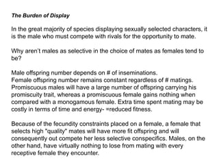 The Burden of Display
In the great majority of species displaying sexually selected characters, it
is the male who must compete with rivals for the opportunity to mate.
Why aren’t males as selective in the choice of mates as females tend to
be?
Male offspring number depends on # of inseminations.
Female offspring number remains constant regardless of # matings.
Promiscuous males will have a large number of offspring carrying his
promiscuity trait, whereas a promiscuous female gains nothing when
compared with a monogamous female. Extra time spent mating may be
costly in terms of time and energy- =reduced fitness.
Because of the fecundity constraints placed on a female, a female that
selects high "quality" mates will have more fit offspring and will
consequently out compete her less selective conspecifics. Males, on the
other hand, have virtually nothing to lose from mating with every
receptive female they encounter.
 