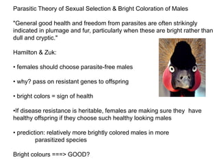 Parasitic Theory of Sexual Selection & Bright Coloration of Males
"General good health and freedom from parasites are often strikingly
indicated in plumage and fur, particularly when these are bright rather than
dull and cryptic."
Hamilton & Zuk:
• females should choose parasite-free males
• why? pass on resistant genes to offspring
• bright colors = sign of health
•If disease resistance is heritable, females are making sure they have
healthy offspring if they choose such healthy looking males
• prediction: relatively more brightly colored males in more
parasitized species
Bright colours ===> GOOD?
 