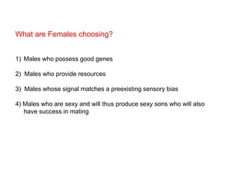 What are Females choosing?
1) Males who possess good genes
2) Males who provide resources
3) Males whose signal matches a preexisting sensory bias
4) Males who are sexy and will thus produce sexy sons who will also
have success in mating
 