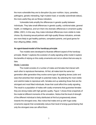 3
the more vulnerable they are to disruption (by poor nutrition, injury, parasites,
pathogens, genetic inbreeding, high mutation load, or socially subordinate status),
the more useful they are as fitness indicators.
Vulnerable traits amplify the differences in genetic quality between
individuals. They take small differences in genetic quality, nutritional state, general
health, or intelligence, and turn them into dramatic differences in ornament quality
(Miller, 2001). In this way, they make individual differences more visible to mate
choice. By choosing sexual partners with high-quality fitness indicators, animals
are more likely to get healthy partners, competent parents, and good genes for
their offspring (Miller, 2000).
An agent-based-model of the handicap principle
Two models were developed to illustrate different aspect of the handicap
principle. Model 1 explores the evolution of costly signaling while model 2 explore
the benefits of relying on this costly ornaments and not on others that are easy to
fake.
Model 1 overview
The model consists of a number of males and females that interact with
each other to reproduce themselves. At first, all males look the same but
generation after generation they evolve some type of signaling devise (color and
size) that advertise their strength to potential mates. By selecting the most visible
and colorful males to reproduce with, females end up selecting those that are the
strongest and most fitted individuals, those that could afford the costly signaling.
The result is a population of males with costly ornaments that guarantee females
they are strong mates with high genetic quality. Figure 1 shows three snapshots of
the model at different moments of the simulation. Notice that the level of strength
of the different individual is fairly distributed at first but progressively skews
towards the strongest ones. Also notice that males end up with huge costly
ornaments (signal) that considerably reduce their level of energy guaranteeing that
only the strongest ones can afford them.
 