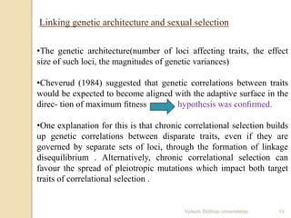 Linking genetic architecture and sexual selection
•The genetic architecture(number of loci affecting traits, the effect
size of such loci, the magnitudes of genetic variances)
•Cheverud (1984) suggested that genetic correlations between traits
would be expected to become aligned with the adaptive surface in the
direc- tion of maximum ﬁtness hypothesis was conﬁrmed.
•One explanation for this is that chronic correlational selection builds
up genetic correlations between disparate traits, even if they are
governed by separate sets of loci, through the formation of linkage
disequilibrium . Alternatively, chronic correlational selection can
favour the spread of pleiotropic mutations which impact both target
traits of correlational selection .
13Vytauto Didžiojo universitetas
 