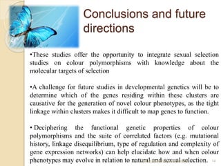 Conclusions and future
directions
•These studies offer the opportunity to integrate sexual selection
studies on colour polymorphisms with knowledge about the
molecular targets of selection
•A challenge for future studies in developmental genetics will be to
determine which of the genes residing within these clusters are
causative for the generation of novel colour phenotypes, as the tight
linkage within clusters makes it difficult to map genes to function.
• Deciphering the functional genetic properties of colour
polymorphisms and the suite of correlated factors (e.g. mutational
history, linkage disequilibrium, type of regulation and complexity of
gene expression networks) can help elucidate how and when colour
phenotypes may evolve in relation to natural and sexual selection. 14Vytauto Didžiojo universitetas
 