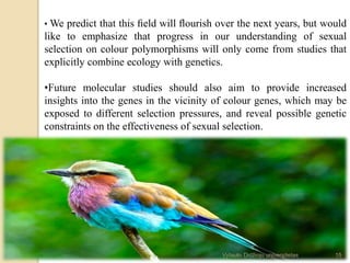 • We predict that this ﬁeld will ﬂourish over the next years, but would
like to emphasize that progress in our understanding of sexual
selection on colour polymorphisms will only come from studies that
explicitly combine ecology with genetics.
•Future molecular studies should also aim to provide increased
insights into the genes in the vicinity of colour genes, which may be
exposed to different selection pressures, and reveal possible genetic
constraints on the effectiveness of sexual selection.
15Vytauto Didžiojo universitetas
 