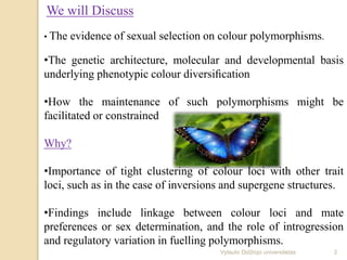 We will Discuss
• The evidence of sexual selection on colour polymorphisms.
•The genetic architecture, molecular and developmental basis
underlying phenotypic colour diversiﬁcation
•How the maintenance of such polymorphisms might be
facilitated or constrained
Why?
•Importance of tight clustering of colour loci with other trait
loci, such as in the case of inversions and supergene structures.
•Findings include linkage between colour loci and mate
preferences or sex determination, and the role of introgression
and regulatory variation in fuelling polymorphisms.
2Vytauto Didžiojo universitetas
 