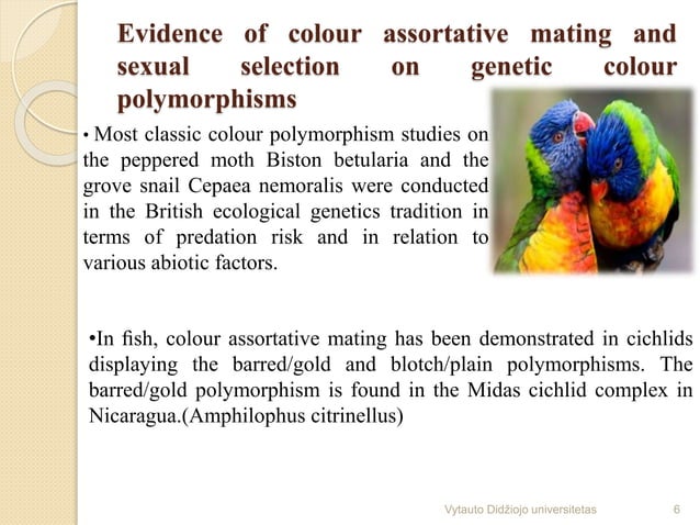 Sexual selection and genetic colour polymorphisms in animals | PPT