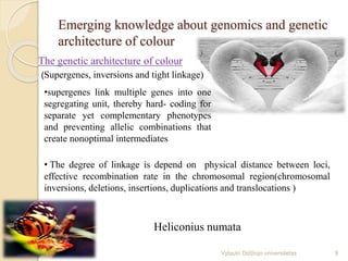 Emerging knowledge about genomics and genetic
architecture of colour
The genetic architecture of colour
(Supergenes, inversions and tight linkage)
•supergenes link multiple genes into one
segregating unit, thereby hard- coding for
separate yet complementary phenotypes
and preventing allelic combinations that
create nonoptimal intermediates
• The degree of linkage is depend on physical distance between loci,
effective recombination rate in the chromosomal region(chromosomal
inversions, deletions, insertions, duplications and translocations )
Heliconius numata
9Vytauto Didžiojo universitetas
 