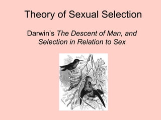 Theory of Sexual Selection
Darwin’s The Descent of Man, and
Selection in Relation to Sex
 