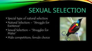 SEXUAL SELECTION
• Special type of natural selection
• Natural Selection – “Struggle for
Existence”
• Sexual Selection – “Struggles for
Mates”
• Male competition; female choice
 