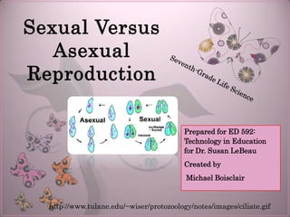 Sexual Versus
   Asexual
Reproduction

                                          Prepared for ED 592:
                                          Technology in Education
                                          for Dr. Susan LeBeau
                                          Created by
                                          Michael Boisclair


  http://www.tulane.edu/~wiser/protozoology/notes/images/ciliate.gif
 