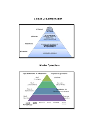 Calidad De La Información
Niveles Operativos
 