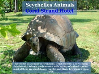 Seychelles is a unique environment, which sustains a very special
biodiversity. Islands are home to a wide variety of animal species:
most of them are amphibians, reptiles and birds. Let`s take a closer
look!
Seychelles Animals
Coral Strand Hotel
 